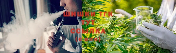 шишки Лихославль