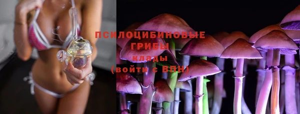шишки Лихославль