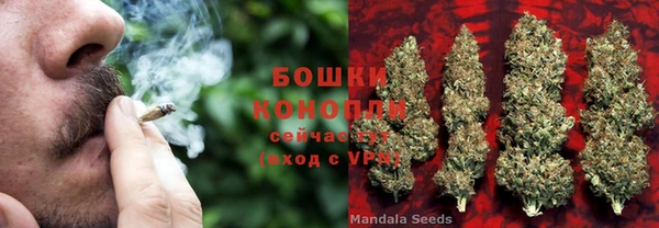 шишки Лиски