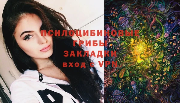 шишки Лихославль